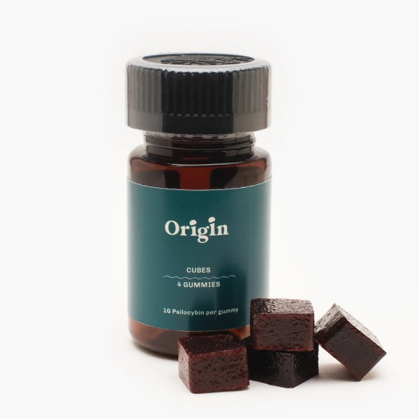 mushroom edibles