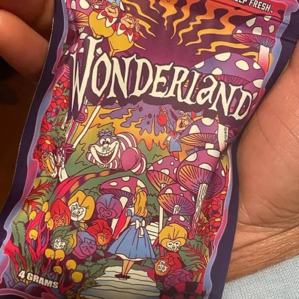 mushroom edibles