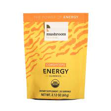 mushroom edibles