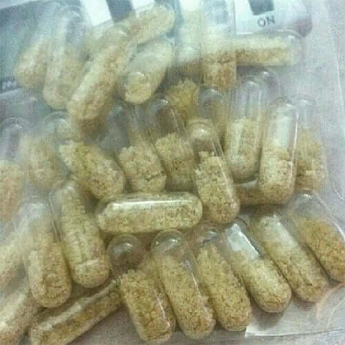 MOLLY CAPSULE